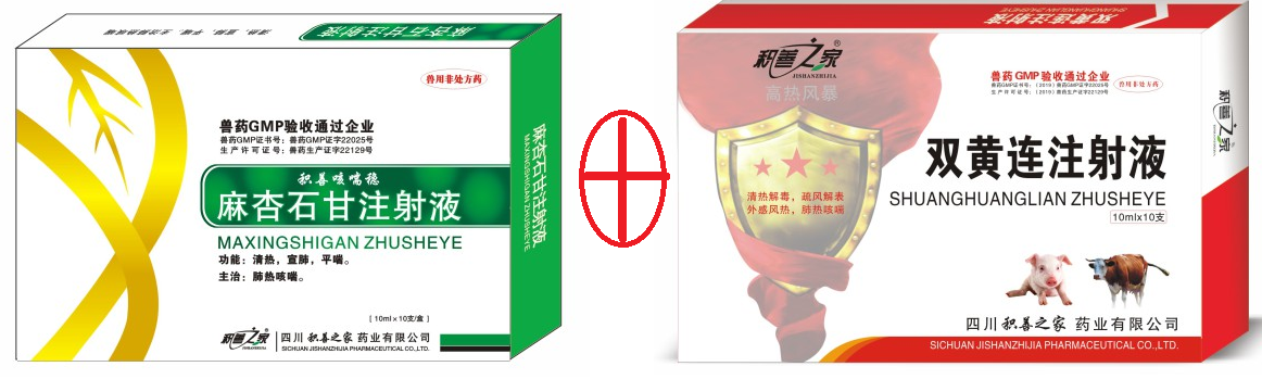 高熱風暴組合.png