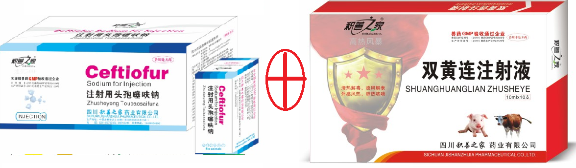 高熱風暴組合1.png