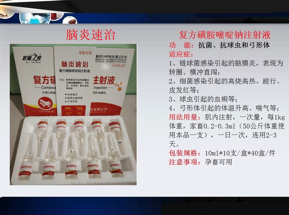 66、腦炎速治（復方磺胺嘧啶鈉注射液）.jpg